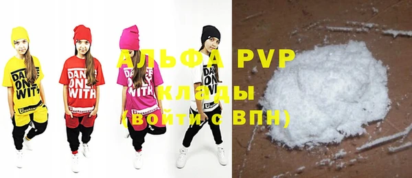 индика Мегион