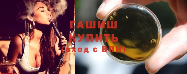 индика Мегион