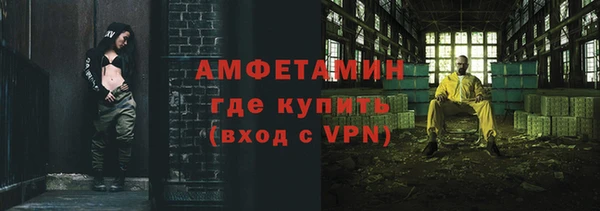 индика Мегион