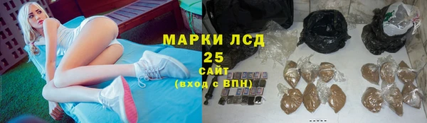 индика Мегион
