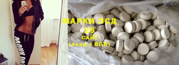 индика Мегион