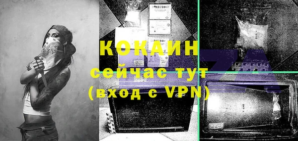 мдпв Медногорск