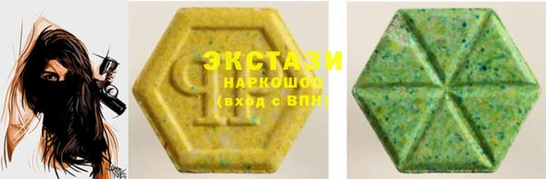 индика Мегион