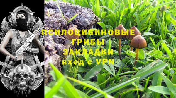 индика Мегион