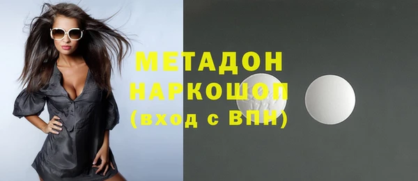 индика Мегион