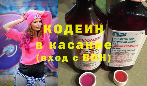 индика Мегион