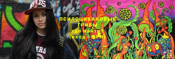 индика Мегион