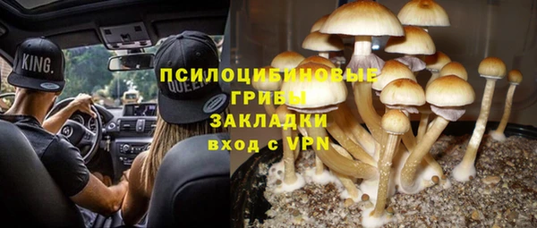 бутират Медвежьегорск