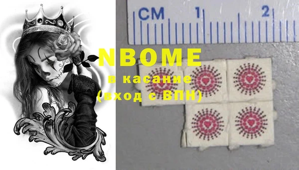 индика Мегион