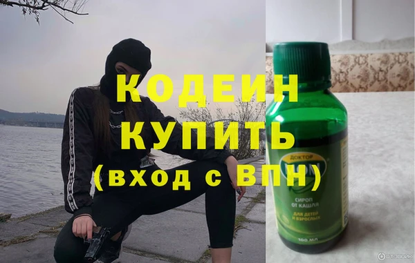 индика Мегион