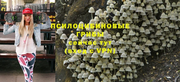 бутират Медвежьегорск