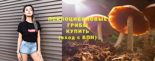 мдпв Медногорск