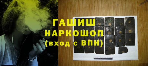 стаф Магас
