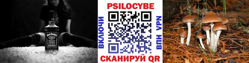 цены   Опочка  MEGA рабочий сайт  Псилоцибиновые грибы мицелий 