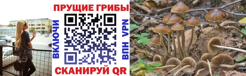 Псилоцибиновые грибы GOLDEN TEACHER Опочка